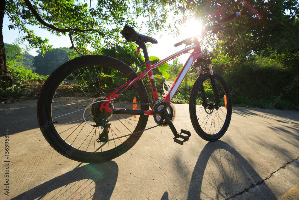 Fototapeta premium riding bike on sunny forest trail
