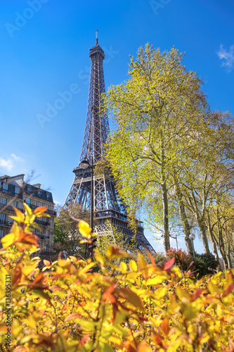 Paris, Eiffel tower on a bright day in Spring photo