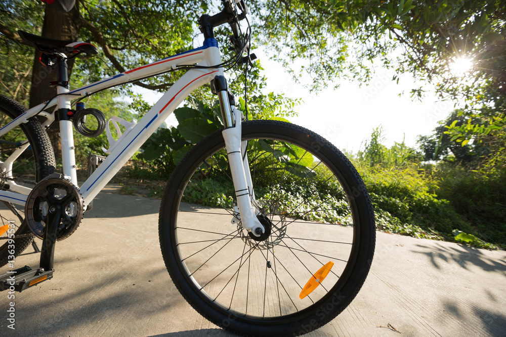 Fototapeta premium riding bike on sunny forest trail