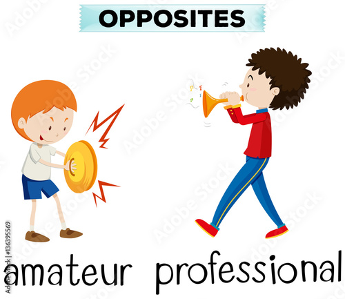 Opposite words for amateur and professional