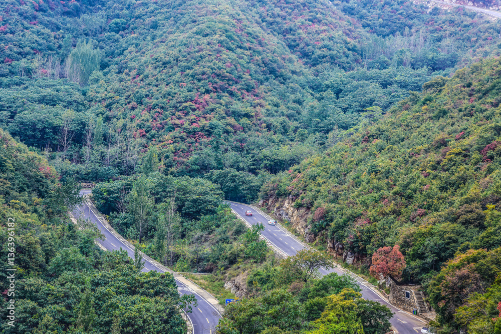 Fototapeta premium Hairpin turns in mountains with trees. Beautiful trees in summer end and autumn beginning surround the hairpin turn road.