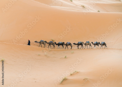 caravan in the desert.  