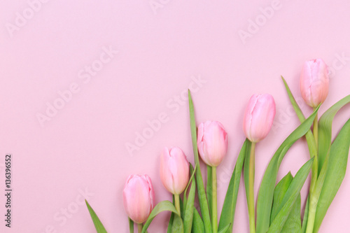 Fototapeta Naklejka Na Ścianę i Meble -  Pink tulips on the pink background. Flat lay, top view.  Valenti
