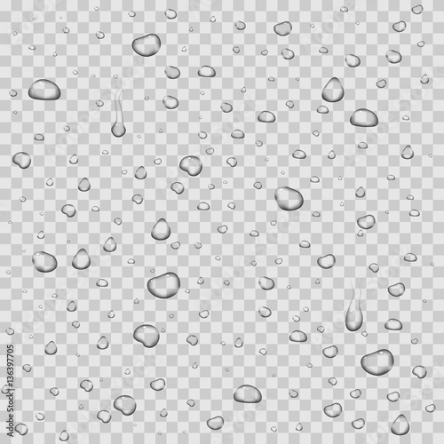 Realistic vector water drops transparent background