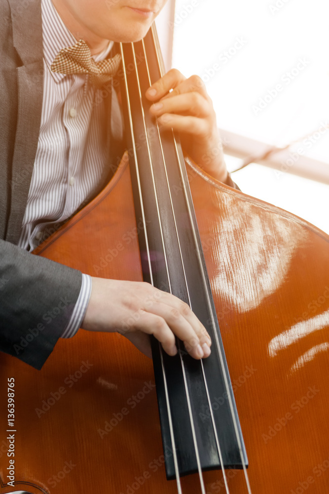 The man playing double bass in sunlight The man playing double bass in sunlight