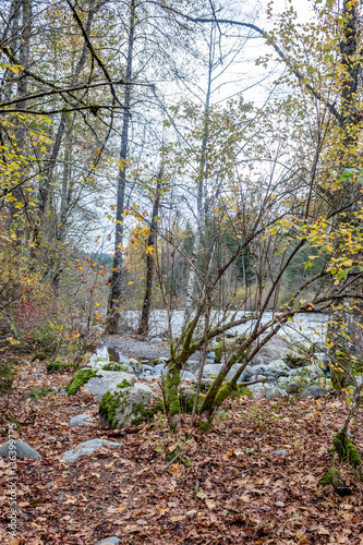 rocks along forest river in autum