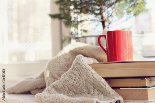 holiday in a homely atmosphere/ red mug with books and a blanket on the background of the balcony window
