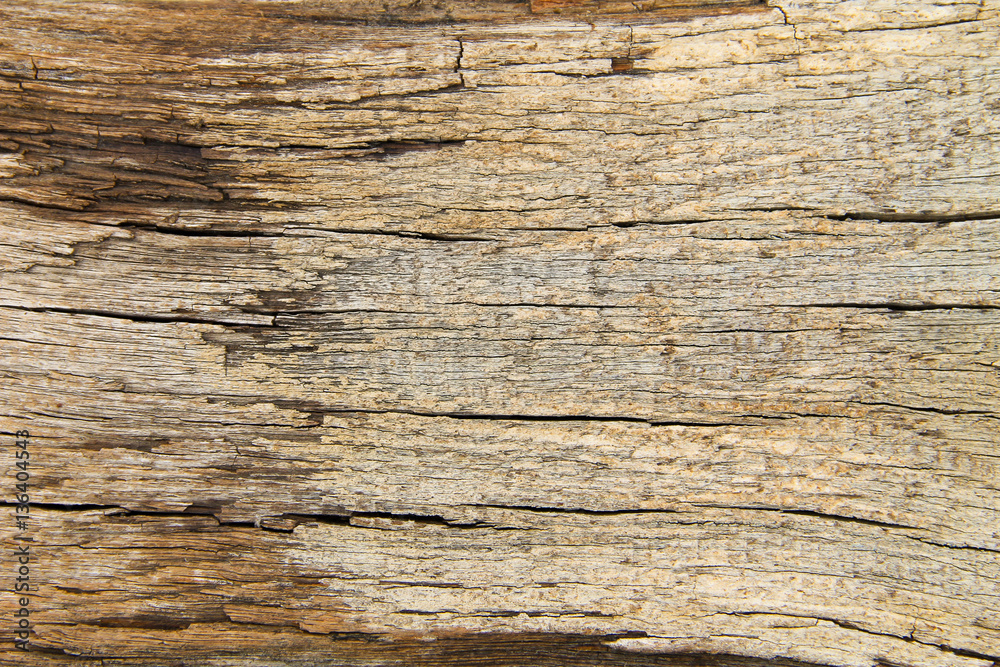Wooden texture Wooden texture