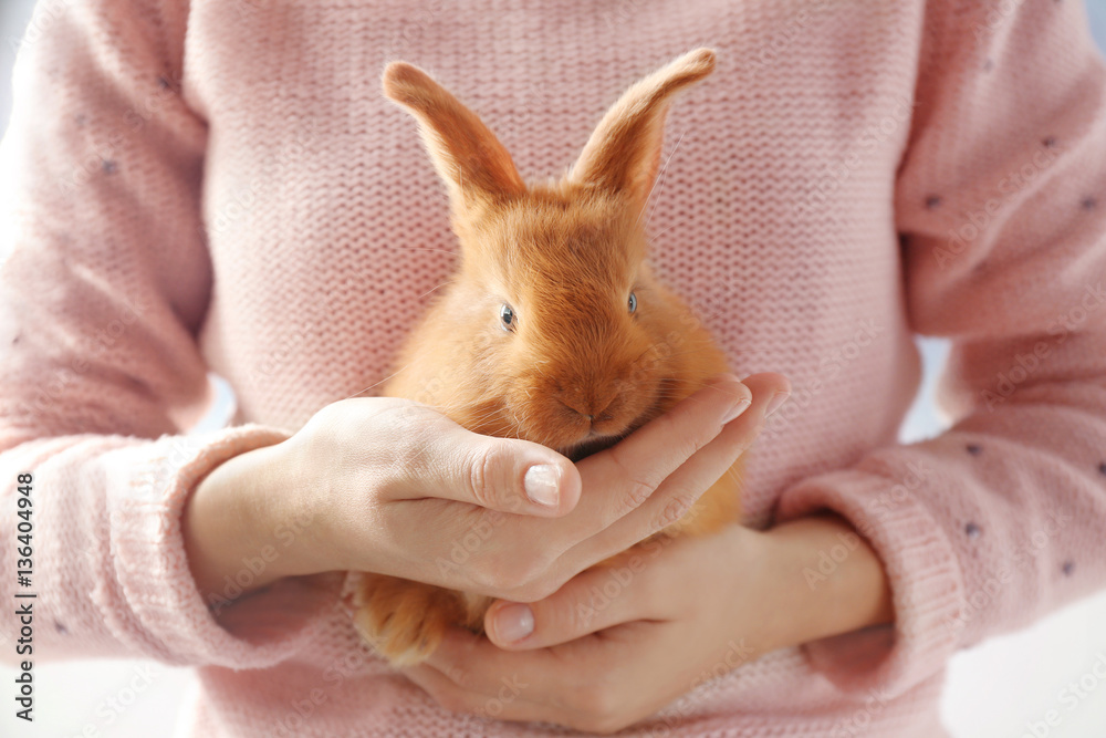 Naklejka premium Cute red bunny in female hands
