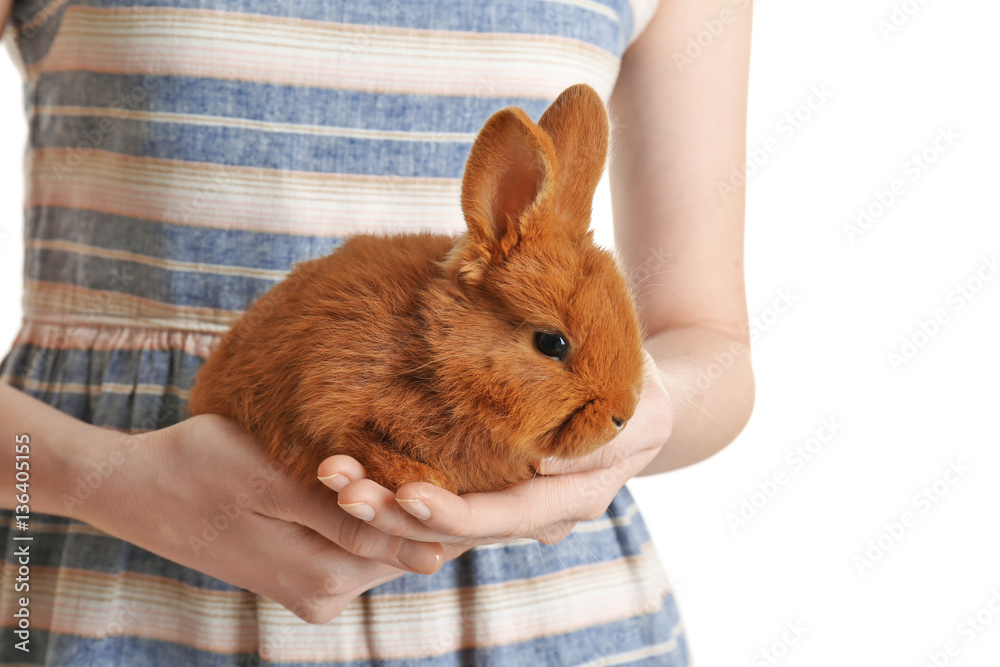 Girl holding small rabbit on white background Stock Photo | Adobe Stock