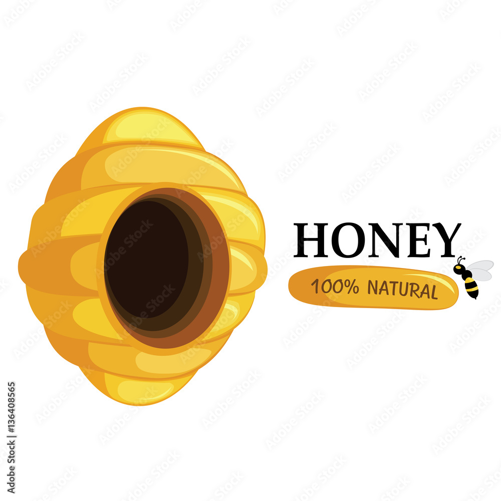 Honeycomb and bee on white background. Honey and bee natural icon.