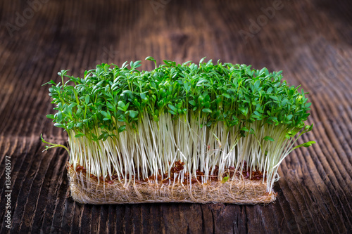 Fresh cress sprouting ready for salad photo