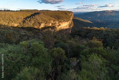 Blue mountains landscape of mountains and eucalyptus forest