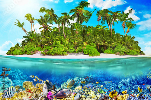 Tropical island in Ocean and beautiful underwater world.