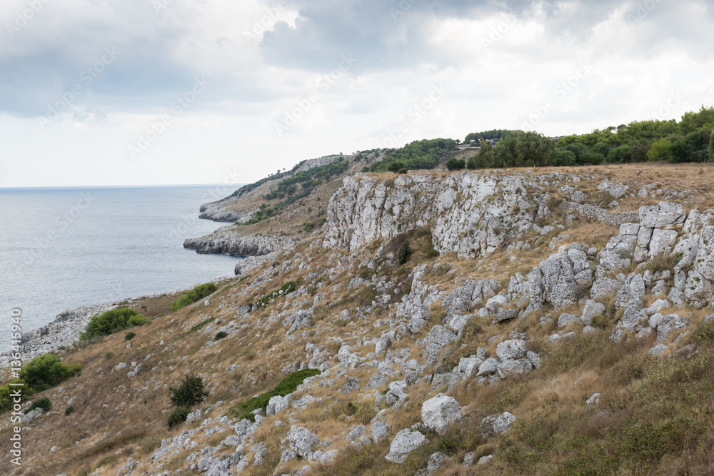 Rocky coast of the Adriatic Sea, Italy
