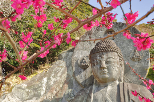 【千葉県】鋸山にある日本寺大仏と赤い梅の花 photo