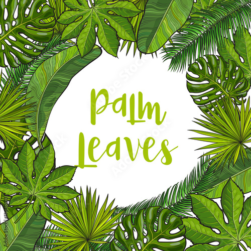 Banner frame of tropical palm leaves with round place for text, sketch vector illustration. Hand drawn realistic exotic, tropical palm leaves as round frame, banner, label design