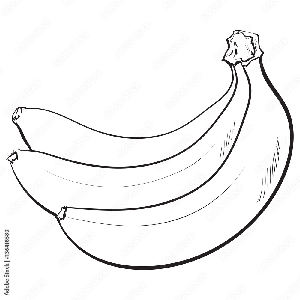 Bananas Pencil drawing by Amelia Taylor | Artfinder