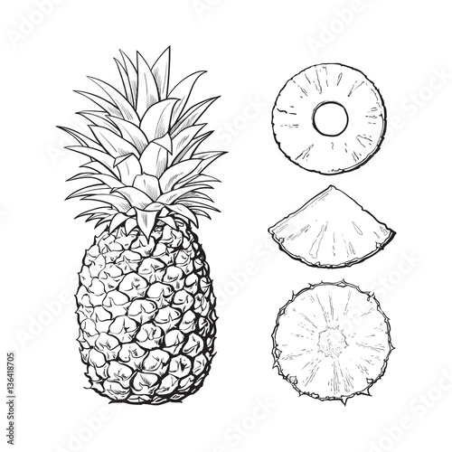 Whole pineapple and three types of slices - round peeled, unpeeled, wedge, sketch style vector illustration isolated on white background. Realistic hand drawing of whole and sliced pineapple
