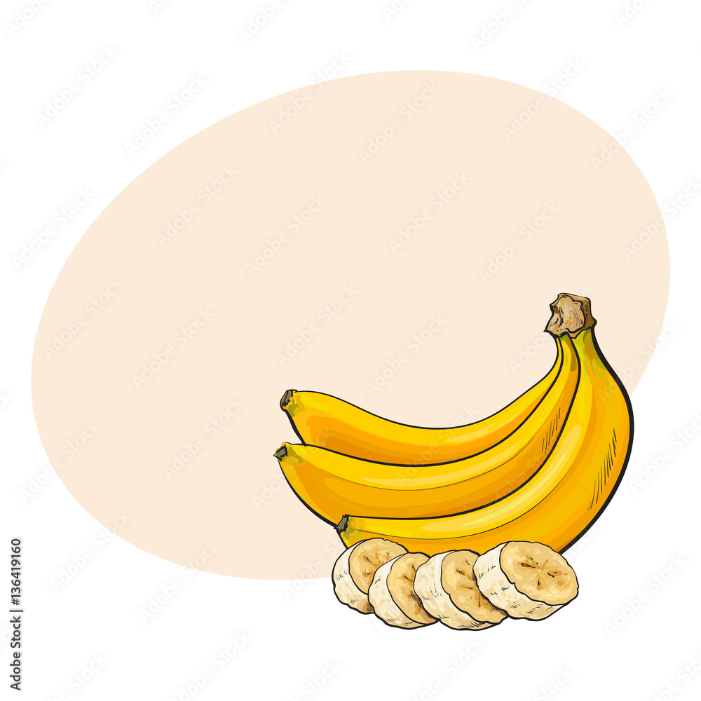 Bunch of three unopened, unpeeled ripe bananas and banana chopped into pieces, sketch style vector illustration with place for text. Realistic hand drawing of ripe banana bunch and slices