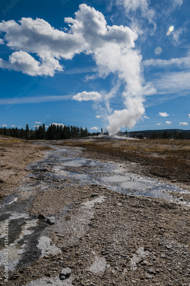 Fototapeta premium Vertical view of famous Old Faithful geyser in Yellowstone NP.