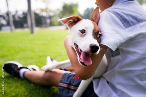 jack russell dogs with a boy relaxing at the park together embra