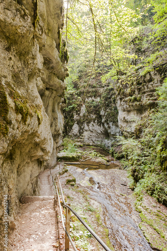 Twann, Twannbachschlucht, Schlucht, Felsen, Felswand, Wald, Wanderweg, Waldweg, Herbst, Herbstwanderung, Jura, Schweiz