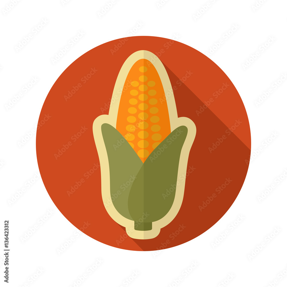 Corn flat icon. Vegetable vector Corn flat icon. Vegetable vector