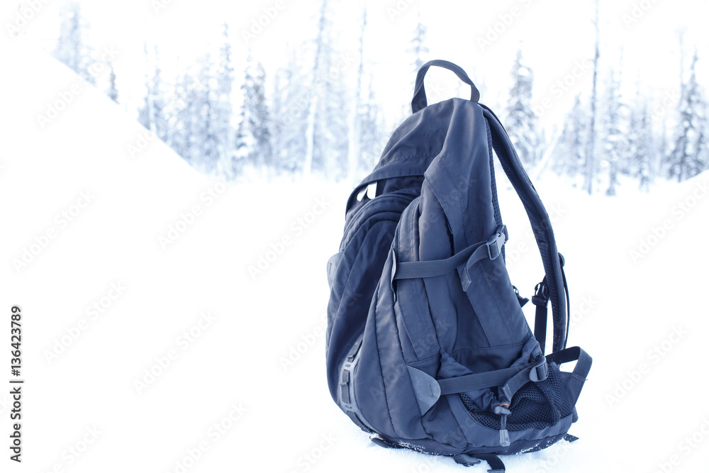 backpack in a forest background Stock Photo | Adobe Stock