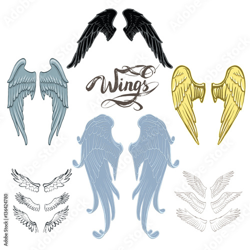 angel wings vector, lettering, drawing