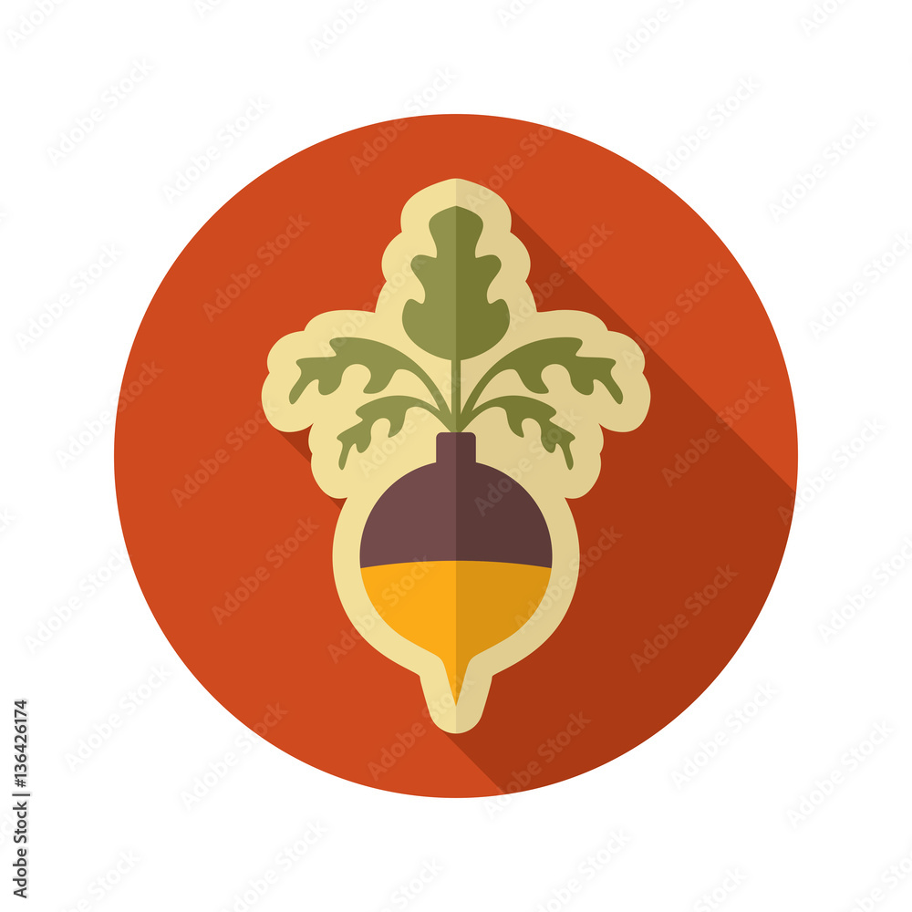 Rutabaga or Swede flat icon. Vegetable root vector Rutabaga or Swede flat icon. Vegetable root vector