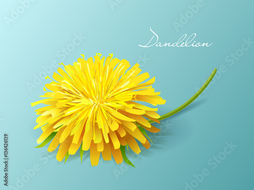 Fototapeta Naklejka Na Ścianę i Meble -  Dandelion flowers, vector icon