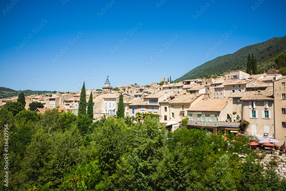 Panorama of french city with trees and roofs