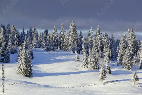 Jura mountain in winter, Switzerland