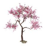 Watercolor pink cherry tree isolated on white. Sakura. Spring. Blossom plant. Hand drawn illustration.