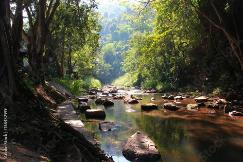 Little river in forrest