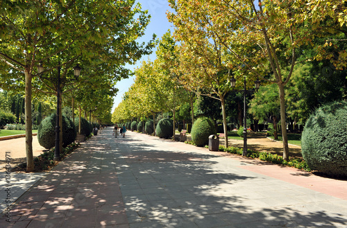 Parque de Gasset en Ciudad Real, España photo