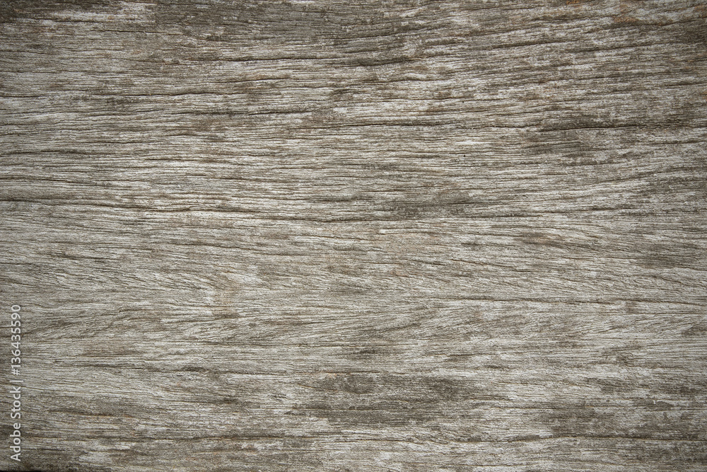 texture of bark wood use as natural background texture of bark wood use as natural background