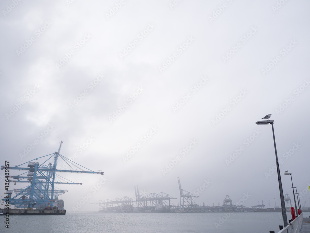 Fototapeta premium Rotterdam Maasvlakte