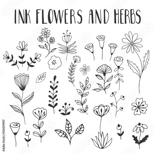 Ink black flowers and herbs. Vector. Isolated.