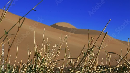 Badain Jaran Desert in autumn, Ejina, Alxa, Inner Mongolia, China,