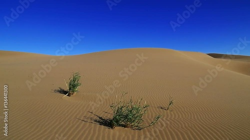 Badain Jaran Desert in autumn, Ejina, Alxa, Inner Mongolia, China,