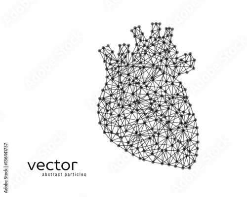 Abstract vector illustration of human heart.