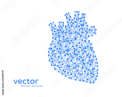 Abstract vector illustration of human heart.