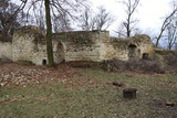Ruins of medieval house or palace
