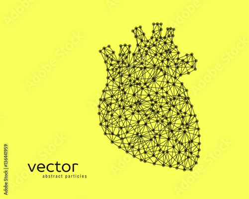 Abstract vector illustration of human heart.