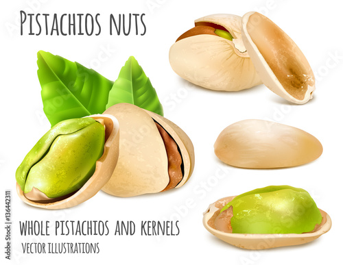 Pistachios vector illustration