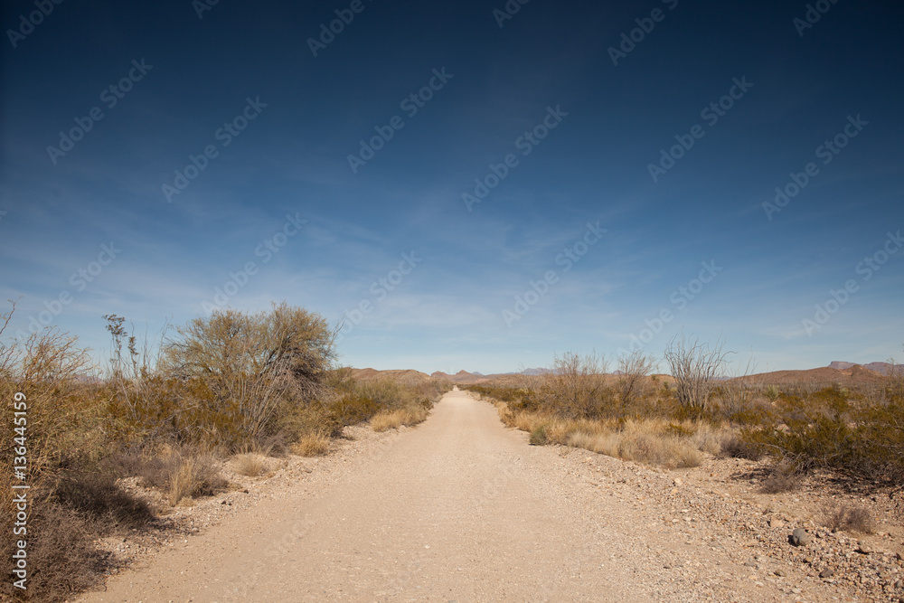 Road in the Big Bend National Park, Texas, USA Road in the Big Bend National Park, Texas, USA