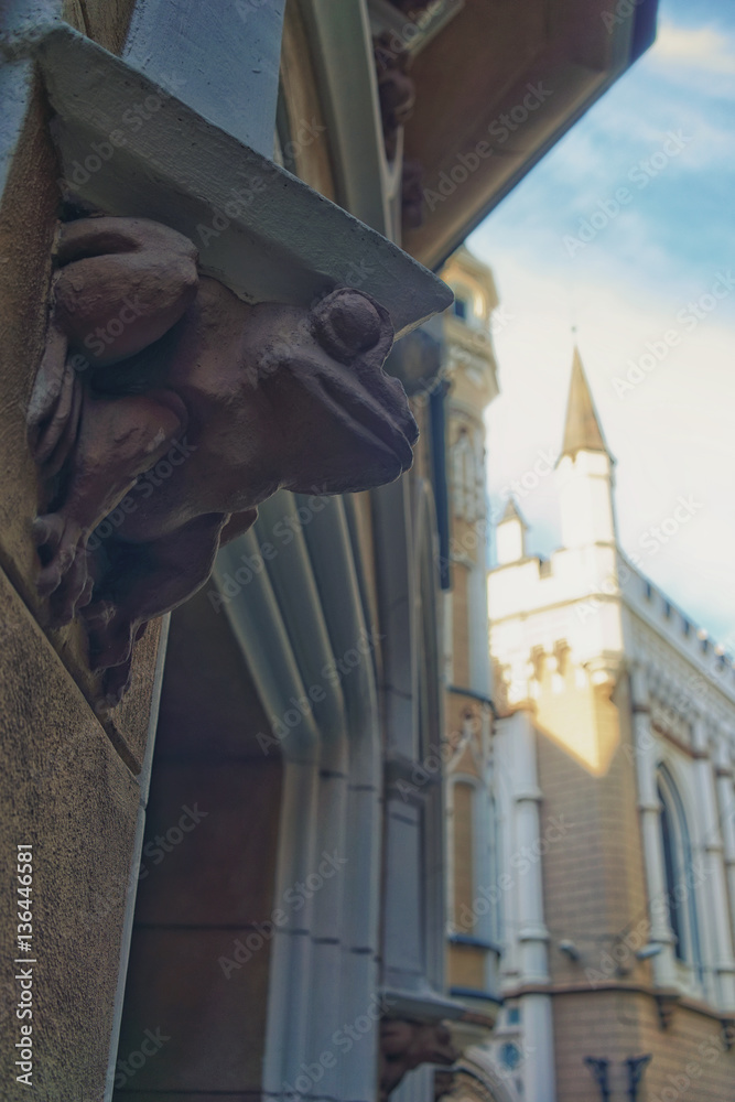 Fototapeta premium Frog on the facade of the house