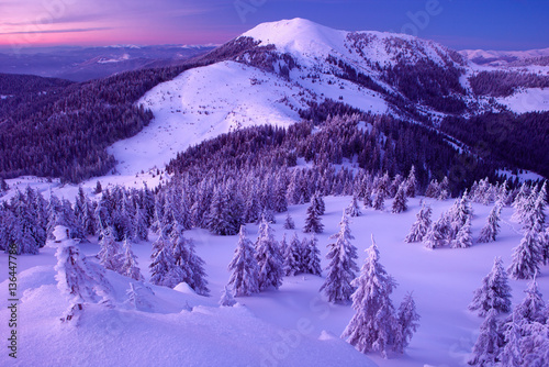 winter forest and mountains Carpathians